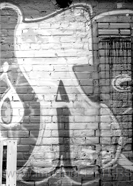 Wall_Art_Alphabet_Photography_Art_ 118.jpg